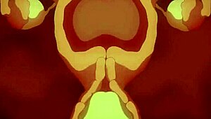 shiina ecchi jakada ani hentai cartoon