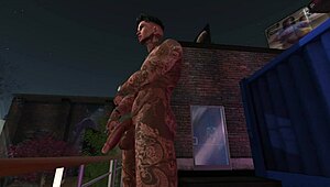 paisita second life adventures