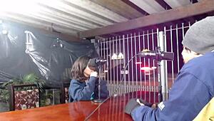 falando sacanagem pura no podrecast incancelaveis do bluezao com muita putaria