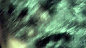 i'm a new safado with small tits getting blowjob