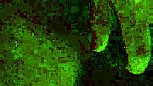 my wife play and cum with dildo 😈