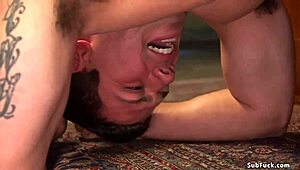 Brunette Domme Pegging Man In Doggy