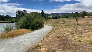 Tombik karı parkta koşarken sallanıyor