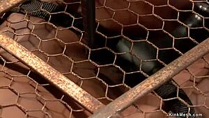 Ebony bound in back arch with choking and gagging