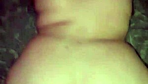 snow bunny feels stuffed by bbc