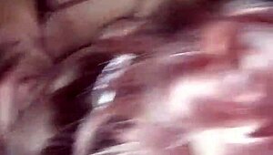 mrs whittaker cheats