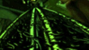 Lady Aranea, want to lick my latex in BDSM fantasy?