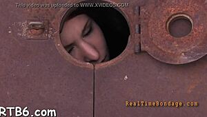 watch these rough bondage fucks, so sloppy and intense! 😈