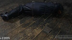 Hardcore sadomasochism porn 😈