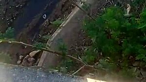 Bold outdoor queen Mina seduces man for park bench blowjob and raw forest pounding