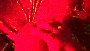 Intimate moments of pleasure on the ass