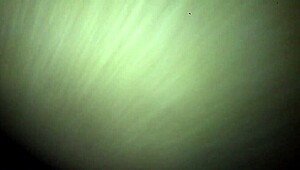 Damn, yella bone bbw getting her wet pussy pounded hard!