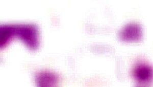 lisey sweet in balls deep anal session