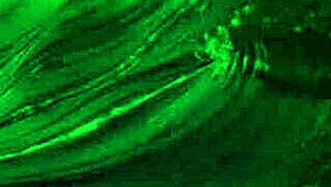 Tatsuro Yamashita's Big Wave Theme with Lyrics