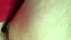 Nussin lemmikkini hihnan päässä, tykkäätkö?