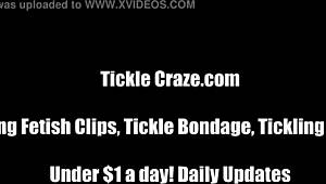 Cat Shows Courtney How to Tickle and Torment Their Bound Friend