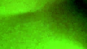 Cookie Gets A Mouthful Of Cum In Doggystyle!