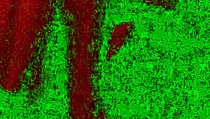 couple engages in rough face fucking