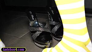 Asian Shemale with Big Dick Fucks Guy Bareback