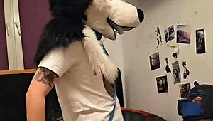 FEMBOY HUSKY FURSUITER CUMS WHILE RIDING HIS BOYFRIEND
