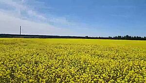 Beautiful Chubby Cutie With Big Tits And Juicy Nipples Gives Pov Outdoor Blowjob And Plays With Cum