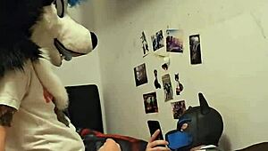 FEMBOY HUSKY FURSUITER CUMS WHILE RIDING HIS BOYFRIEND