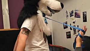 FEMBOY HUSKY FURSUITER CUMS WHILE RIDING HIS BOYFRIEND