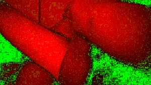 couple engages in rough face fucking