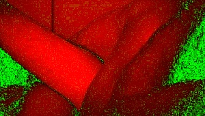 couple engages in rough face fucking