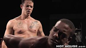 Hothouse - Adrian Hart and Nic Sahara Pound Hard on Break