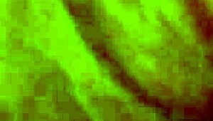 Fucking Hairy Beaver From Behind