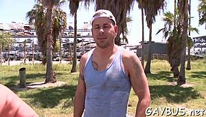 gay porn with hunks sucking cocks 😏