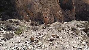 Compilation of nudist adventures in wild public spaces, curious yet?