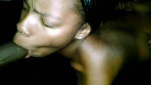 amateur video collection