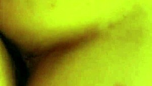 Fucking Hairy Beaver From Behind