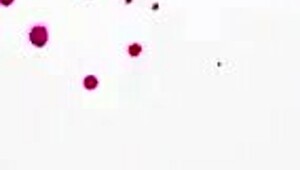 Big Tit Redhead Daisie Belle Gets Fucked Hard In Front Of Friends