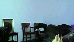 Gay amateur blowjob homemade