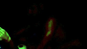 Third Part Of Yorgelis Kent And Erika Schwarzenberg Video