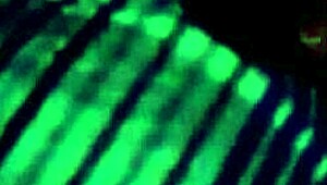 Third Part Of Yorgelis Kent And Erika Schwarzenberg Video