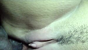 sexo interracial realizando sonho de um punheteiro