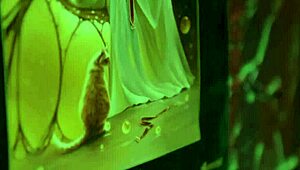 Cute Girl Enjoys Kinky Masturbation To Dirty Phone Call