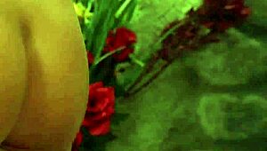 Look at this lesbian slave waiting for her ass whipping!