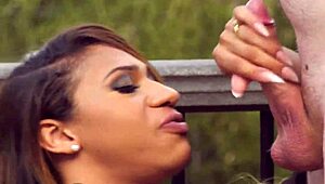 Ebony Transgender Summons In Genderx Scene