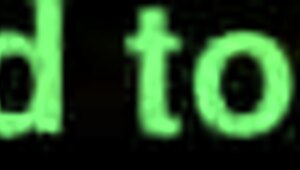 Polluted Wombs And Hammered Whores