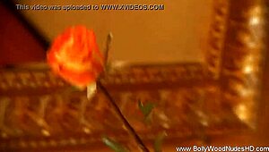 the rose of india lays down erotic striptease