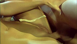 lauren phoenix anal hardcore