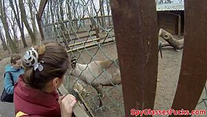 Europeisk amatør POV knullet hardt i trang ræv