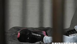 hey roman todd, masyn thorne, where’s my phone while you’re bent over getting pounded