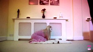 Masked slave enjoys rough missionary fucking 😈