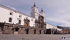 Exciting new reality scenes every week